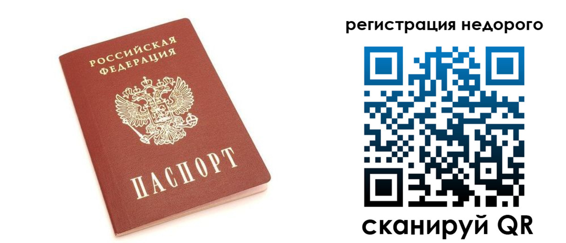 прописка иностранных граждан в Светлом